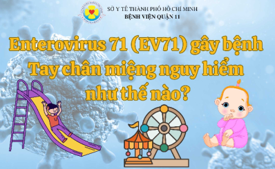 (HCDC) Enterovirus 71 (EV71) gây bệnh Tay chân miệng nguy hiểm như thế nào